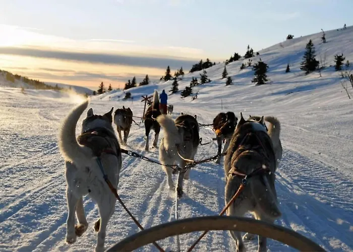 Arctic Breeze - Family & Group Getaway Appartement Tromsø